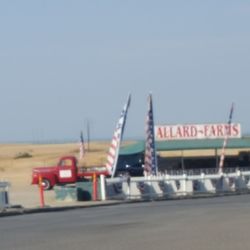 Allard Farms