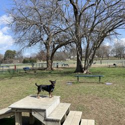 Hendersonville Dog Park