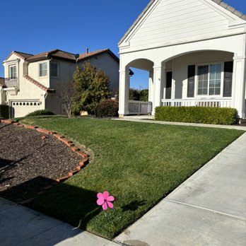 Romero Landscaping - Freshly cut grass - Lawn Services Near Me Romero Landscaping - Freshly cut grass - Lawn Services Near Me