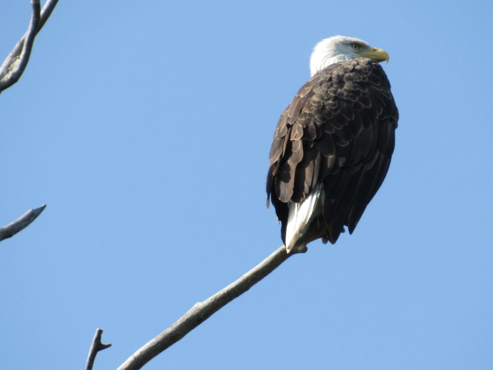 Social spots from Johnny Panther Quests