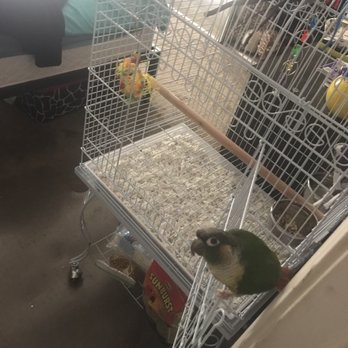 Birds And Then Some - Pet Stores Near Me - Phoenix, Arizona