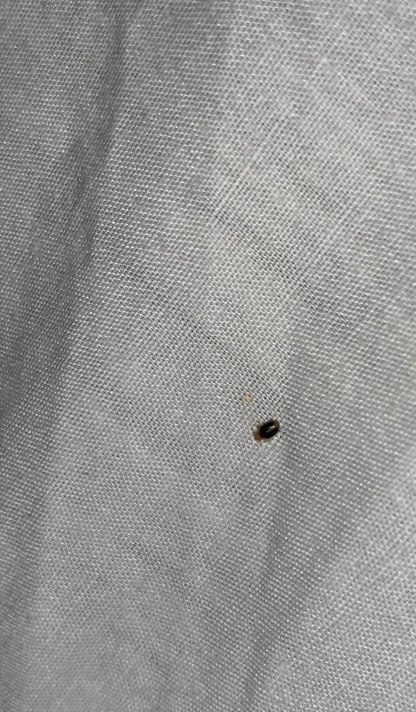 Candlewood Suites Fayetteville-Univ of Arkansas - wedding in Fayetteville, AR