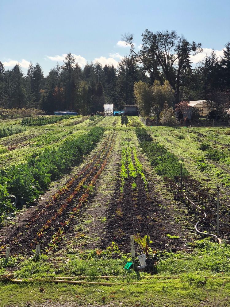 Nanoose Edibles Farm Logo