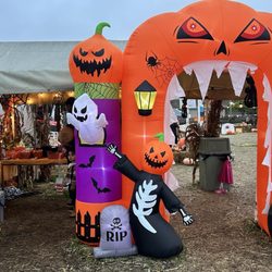 The Great Pumpkin Patch