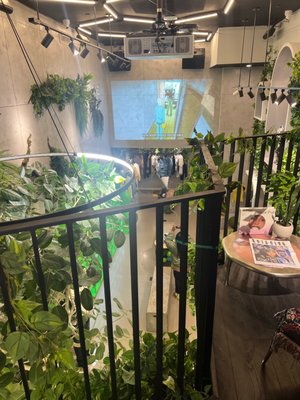 Greenhouse Café at Seed Brklyn by null