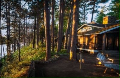 White Pine Camp by null