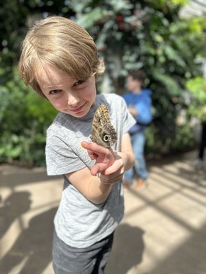 Butterfly Biosphere by null