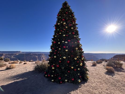 Grand Canyon West Skywalk by null