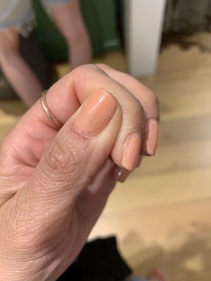 Pretty Polished by null