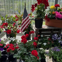 Lovell's Nursery