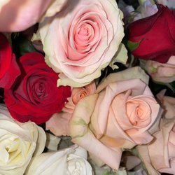 Gracie's Petals
