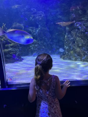 Shreveport Aquarium by null