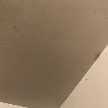 Southpointe Square Apartments - Complained about this mold they told me to use cleaning supplies. - Apartments Near Me - Woodhaven, Michigan