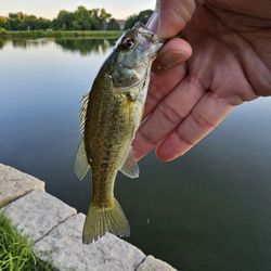 Wilderness Lake Park