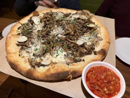 Piccino Presidio by null