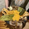 Taqueria El San Luis gift card
