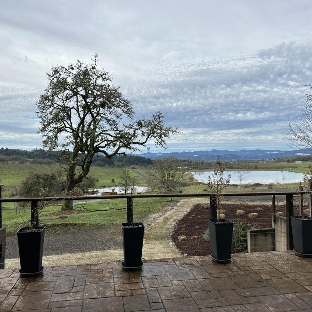 Tesla Custom Winery Tours - Wine Tours Near Me - Portland, Oregon Tesla Custom Winery Tours - Wine Tours Near Me - Portland, Oregon