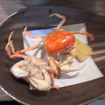 Kadence - Sushi Bars Near Me - Orlando, Florida Kadence - Sushi Bars Near Me - Orlando, Florida