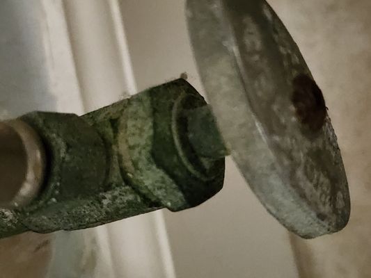 Shell Island Resort by null