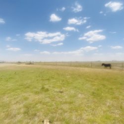 Aok Camper Park - Lovely place in Texas!! Close to the Big Texan restaurant!! A must visit attraction in Amarillo!
