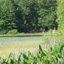 Photo of Ely Lake Park