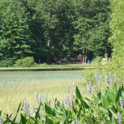 Ely Lake Park - Ely Lake in Allegan County in a non-motorized lake with great swimming.