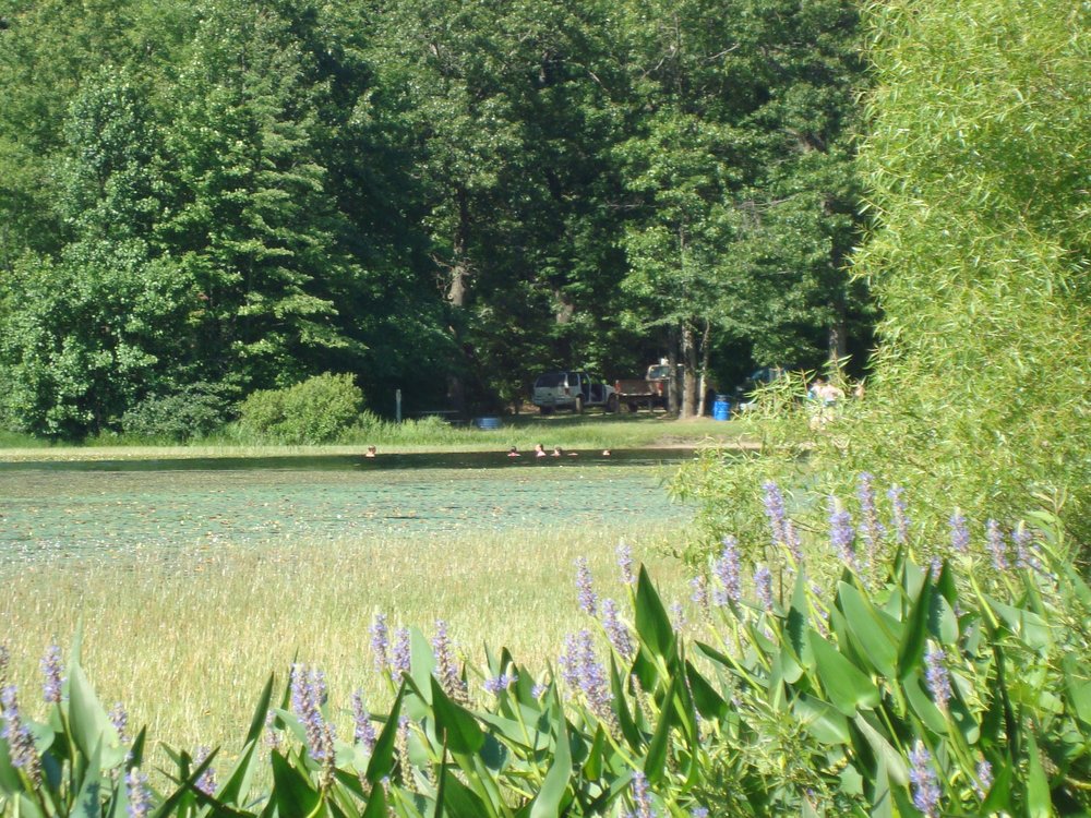 ELY LAKE PARK Updated August 2024 5020 116th Ave, Allegan, Michigan