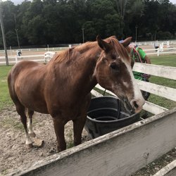 Haile Equestrian Center
