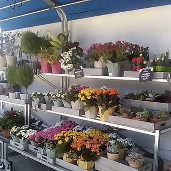 Gelson's Toluca Lake - Some flowers. Outside by the entrance. - Grocery Near Me - Toluca Lake, California