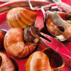 Café du Palais - Escargots (pesto and garlic sauce)