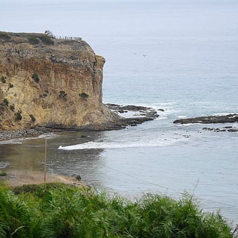 Palos Verdes - Local Flavor Near Me