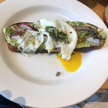 Terra GR - Avocado toast with an added egg - New American Near Me - Grand Rapids, Michigan