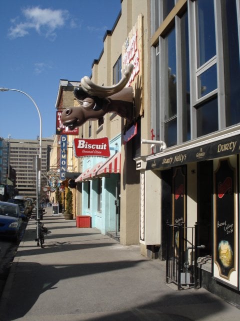 Toothy Moose Cabaret