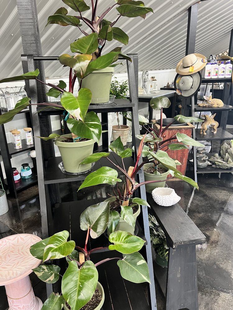 STOCKSLAGERS GREENHOUSE & GARDEN CENTER Updated October 2024 14