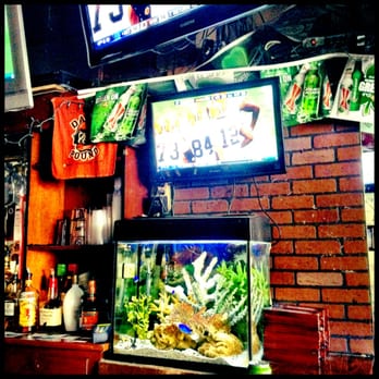 The Field House - the main attraction (the fish) - Sports Bars Near Me - Chicago, Illinois The Field House - the main attraction (the fish) - Sports Bars Near Me - Chicago, Illinois