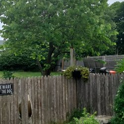 Peter McMillan Pro Tree - He pruned this tree