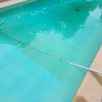 All Blue Pool Services - They're vacuuming my pool - Pool Cleaners Near Me