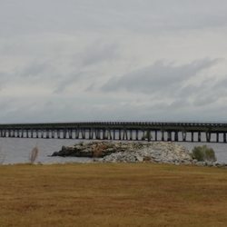 Shell - View from the Shell in Columbia, NC