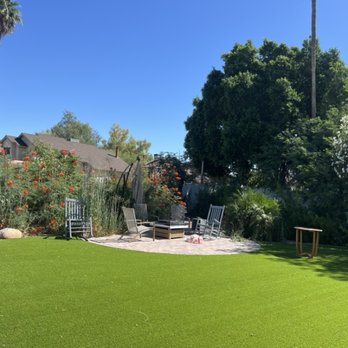 TFP Landscaping - Before clean back yard - Landscaping Near Me TFP Landscaping - Before clean back yard - Landscaping Near Me