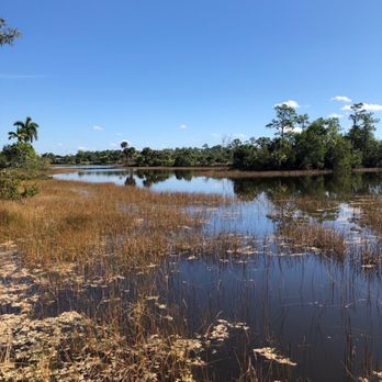 Naples Botanical Garden - Wetlands Marsh - Botanical Gardens Near Me - Naples, Florida