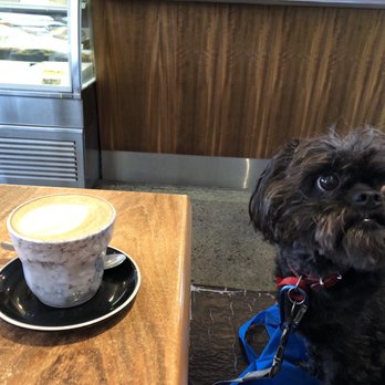 Black Dog Cafe - Dog friendly - Cafes Near Me - Matakana, AUK Black Dog Cafe - Dog friendly - Cafes Near Me - Matakana, AUK