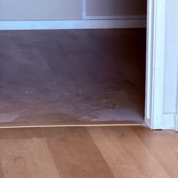 Green Rodent Restoration - Pest Control Near Me - Chatsworth, California Green Rodent Restoration - Pest Control Near Me - Chatsworth, California