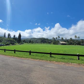 Awapuhi Adventures - Hiking Near Me - Makawao, Hawaii