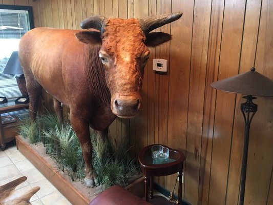 HeartBrand Beef by null