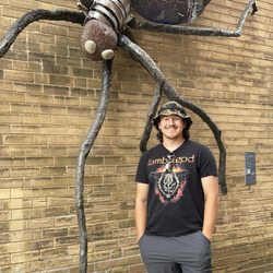 City of Wichita - Giant spider in downtown KS