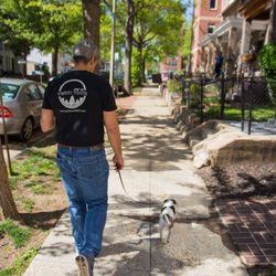 Metro Mutts - Award-winning dog walking. We walk one dog at a time and give your Mutt our full attention.