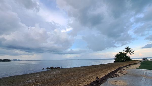 Matheson Hammock Park & Marina by null