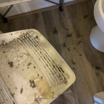 A New View Cleaning Service - No vents touched or cleaned throughout the home. - Home Cleaning Near Me A New View Cleaning Service - No vents touched or cleaned throughout the home. - Home Cleaning Near Me