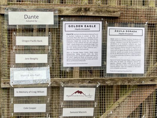 Cascades Raptor Center by null