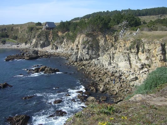 Salt Point State Park by null